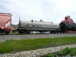 NS 163974 is new to RRPA!